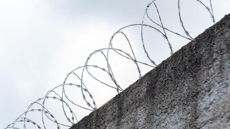 A Importância da Cerca de Arame Farpado para Muro: Proteção e Segurança em Primeiro Lugar